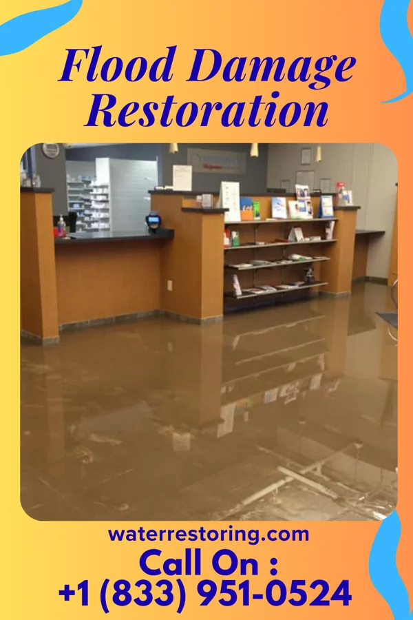 Flood Damage Restoration in Arabi, GA