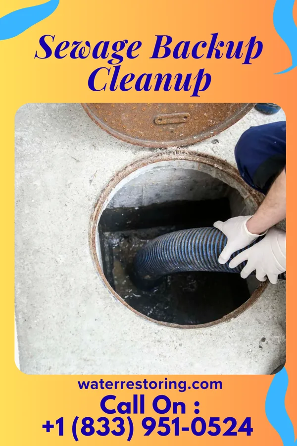 Sewage Backup Cleanup in Arabi, GA