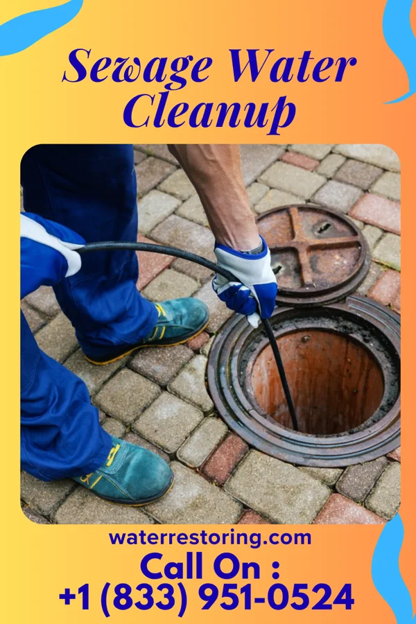 Sewage Water Cleanup in Arabi, GA